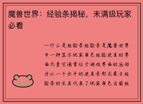 魔兽世界：经验条揭秘，未满级玩家必看